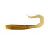 Bloodworm